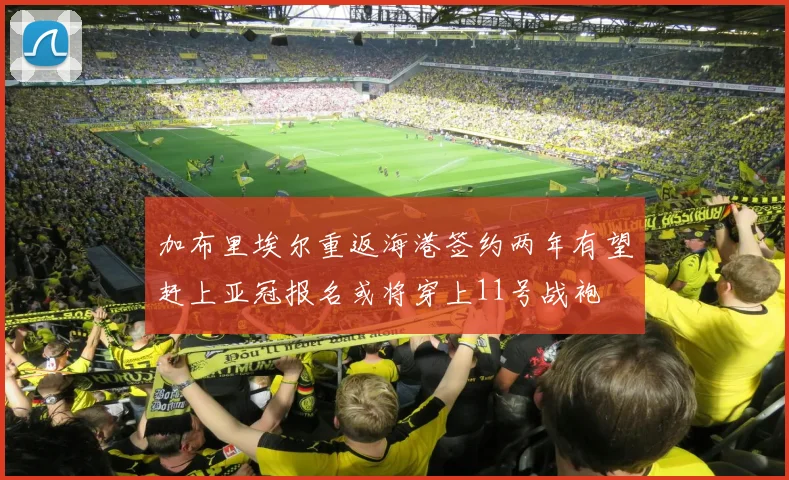 加布里埃尔重返海港签约两年有望赶上亚冠报名或将穿上11号战袍